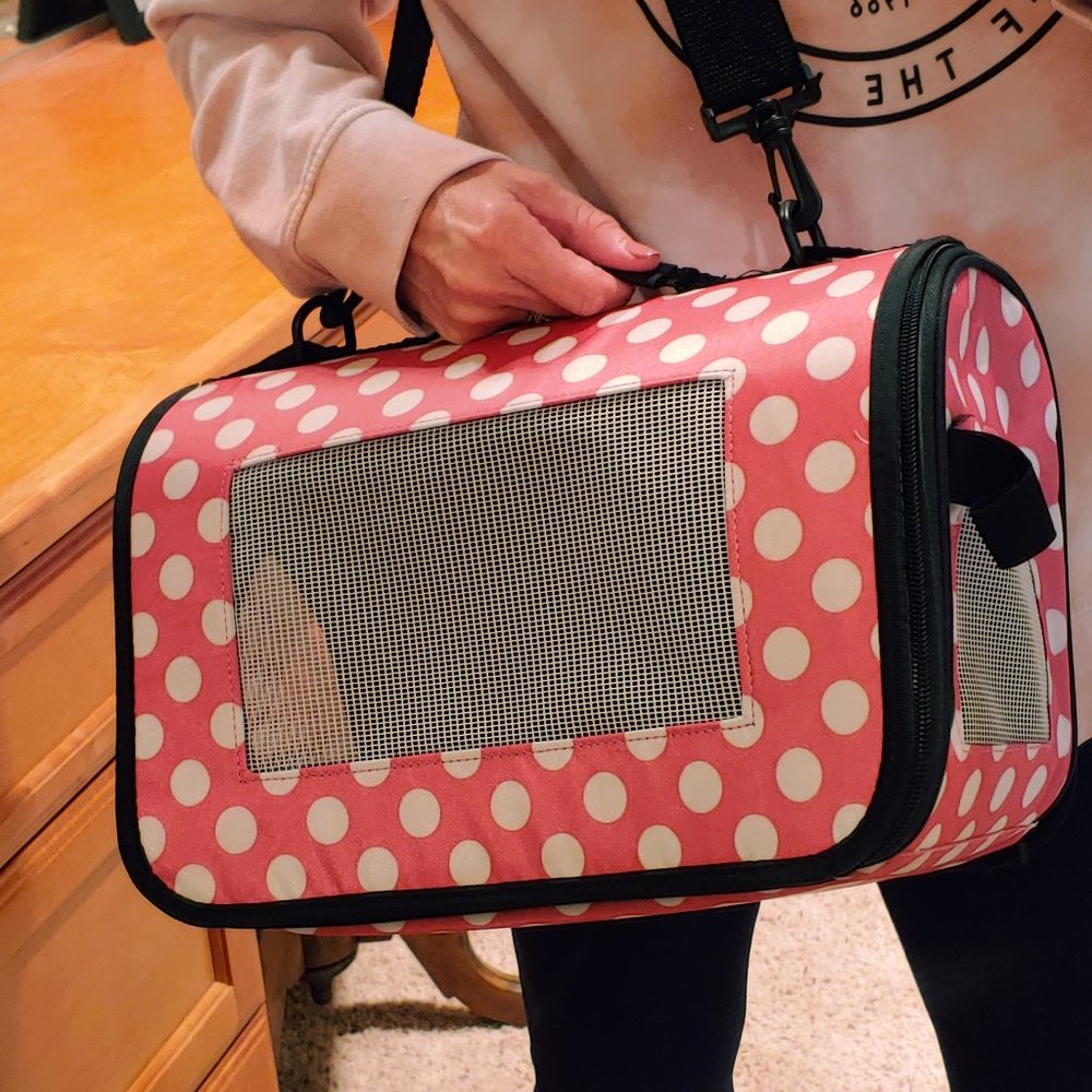 Small Animal Carrier